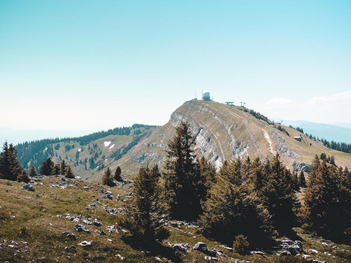 Appartement Ideal Pour Ete Et Hiver, Situe Au Pied Des Pistes De Ski Et Des Sentiers De Randonnee Prémanon Zewnętrze zdjęcie