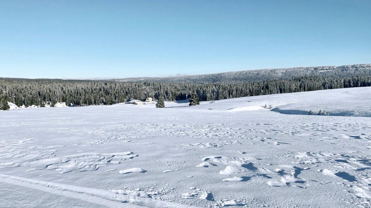Appartement Ideal Pour Ete Et Hiver, Situe Au Pied Des Pistes De Ski Et Des Sentiers De Randonnee Prémanon Zewnętrze zdjęcie