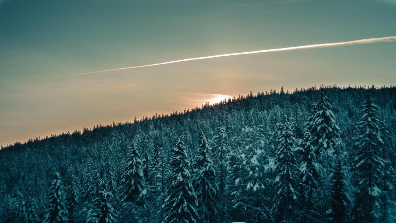 Appartement Ideal Pour Ete Et Hiver, Situe Au Pied Des Pistes De Ski Et Des Sentiers De Randonnee Prémanon Zewnętrze zdjęcie